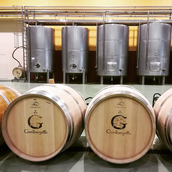 Galería de imágenes