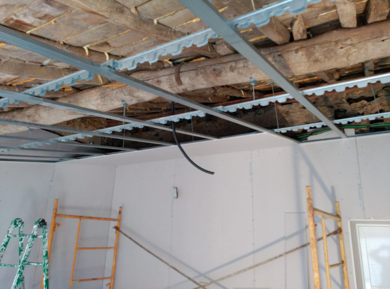 Pladuren Salamanca 8