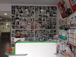 Galería de imágenes