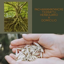 PACHAMAMA