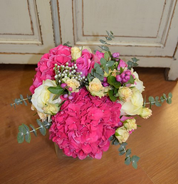 Galería de imágenes