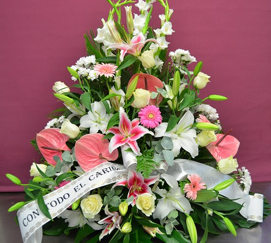 Le&oacute;n Flor FLORISTERIAS