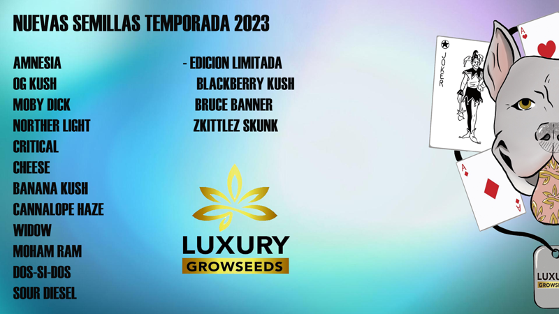 Luxury Growseeds Alzira