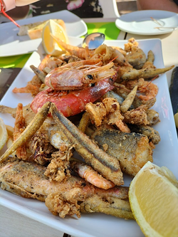 Galería de imágenes