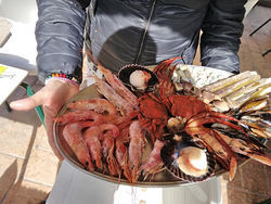 Galería de imágenes