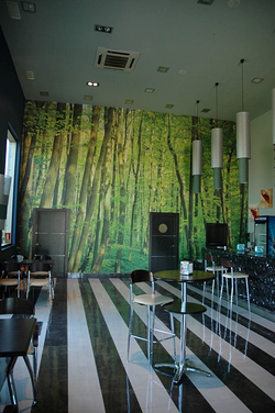 Galería de imágenes