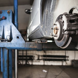 Galería de imágenes