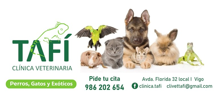 Cl&iacute;nica Veterinaria Taf&iacute; 5