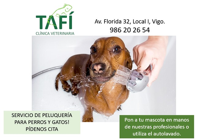 Cl&iacute;nica Veterinaria Taf&iacute; 4