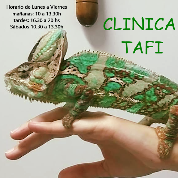 Cl&iacute;nica Veterinaria Taf&iacute; 2