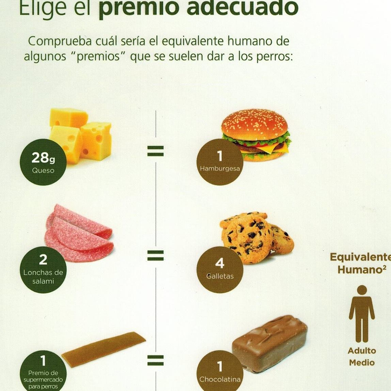 Cl&iacute;nica Veterinaria Taf&iacute; 7