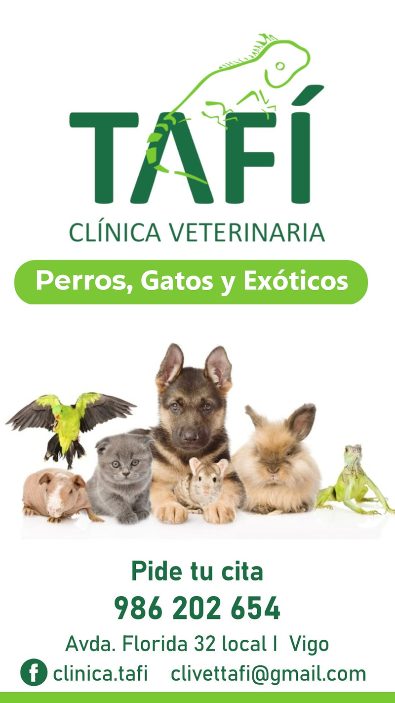 Cl&iacute;nica Veterinaria Taf&iacute; 3