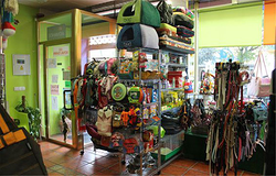 Galería de imágenes