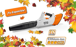 Galería de imágenes