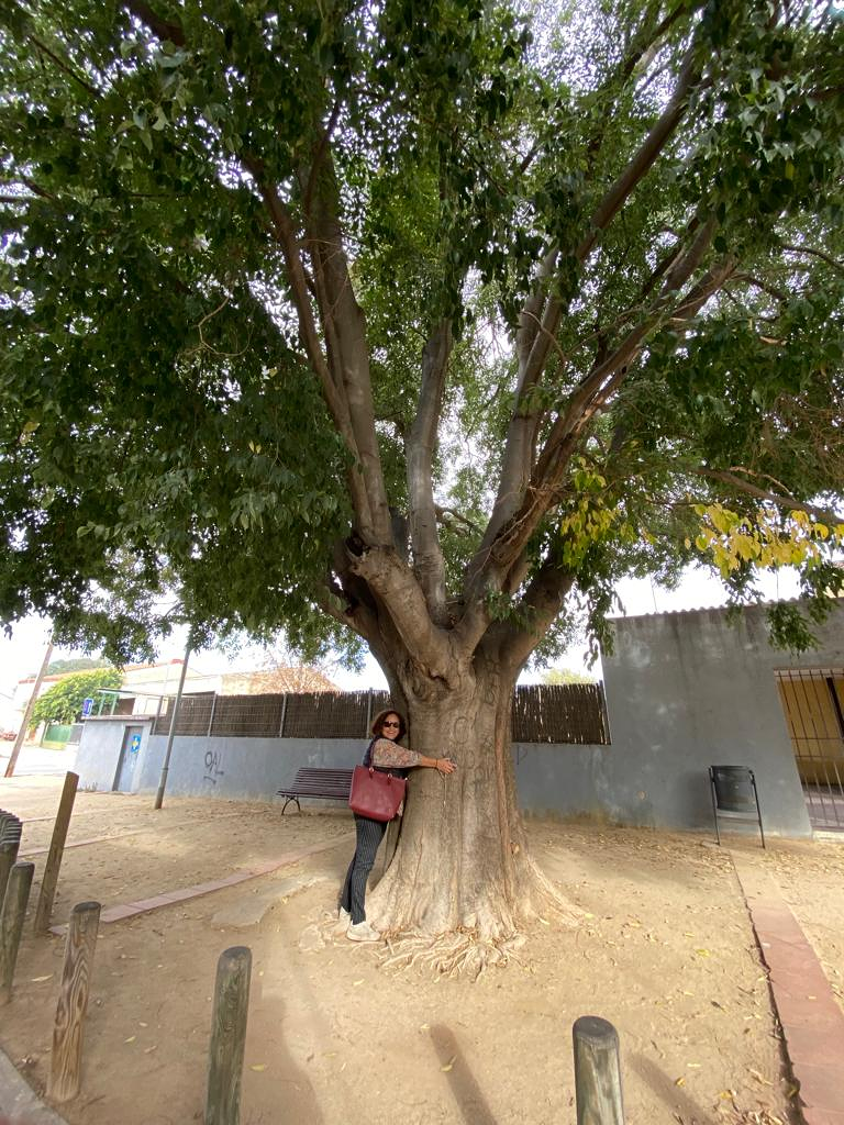 Lucy Dominguez Asesor Inmobiliario 12