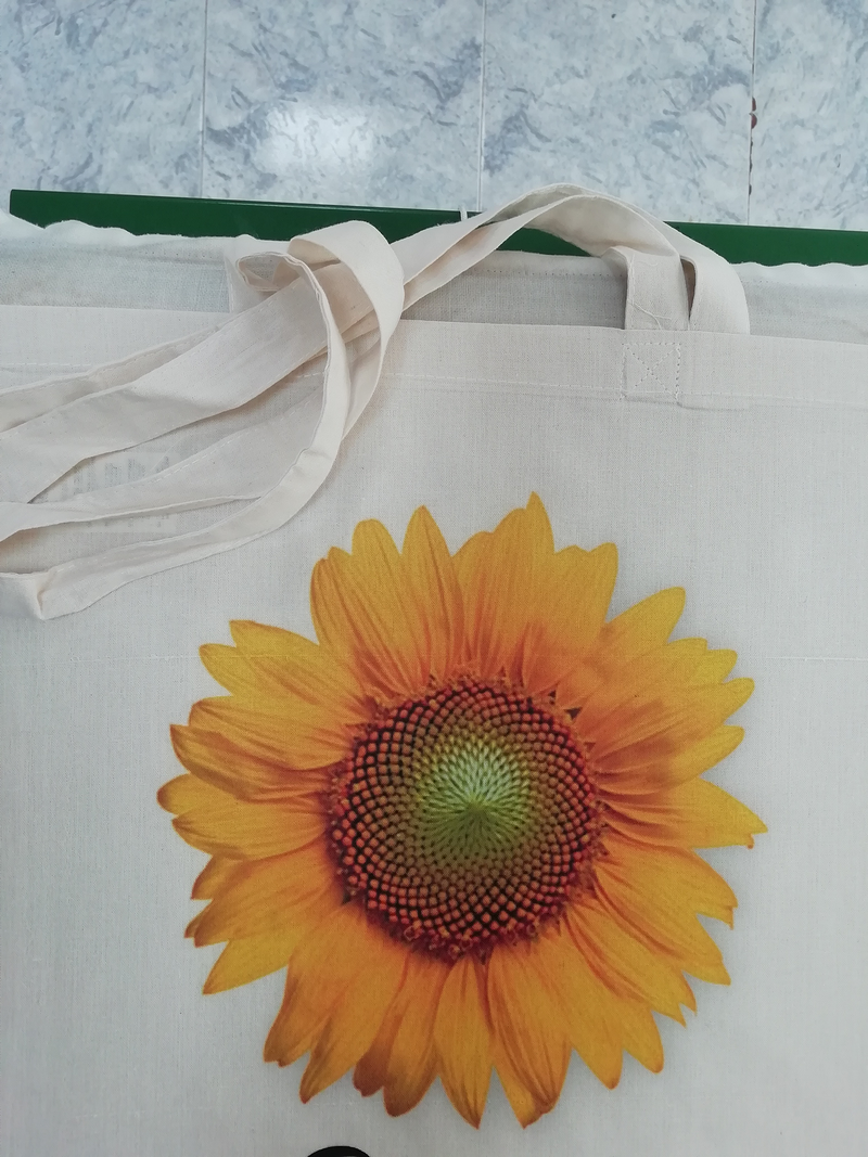 Infogr&aacute;fic S&oacute;ller 3