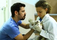 Centro Veterinario Atlantico Cartaya Centro Veterinario Atlantico Cartaya