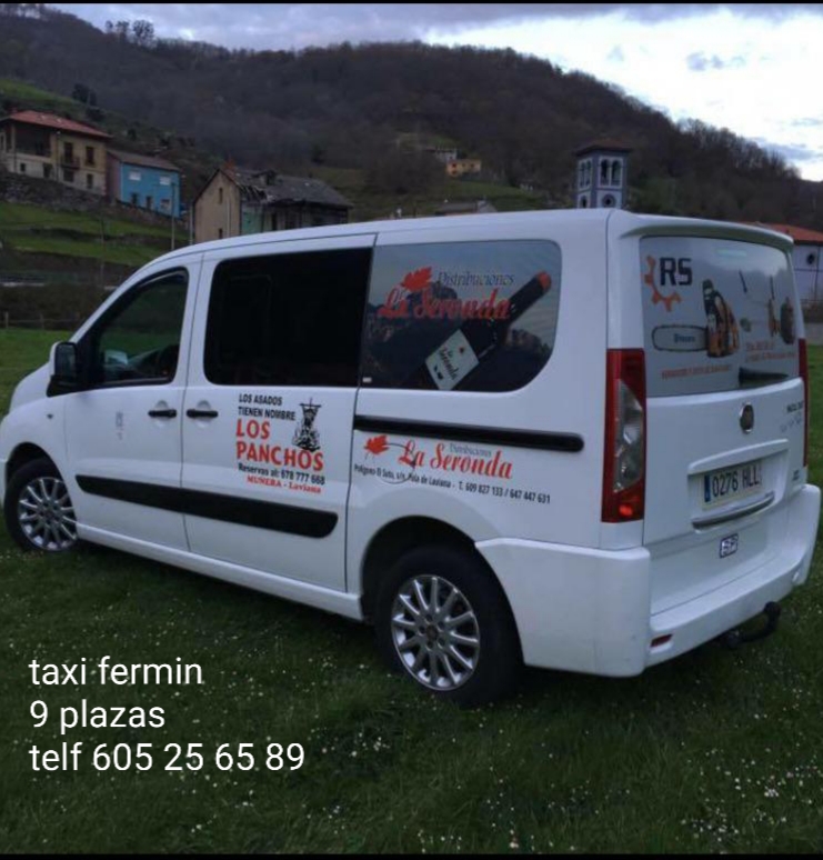 TAXI FERMIN COTO (taxi 9 plazas) TAXIS: SERVICIOS Y PARADAS TAXI FERMIN COTO (taxi 9 plazas) TAXIS: SERVICIOS Y PARADAS