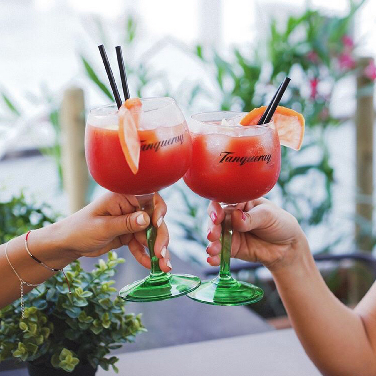 Galería de imágenes