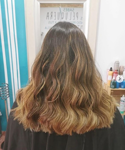 Galería de imágenes