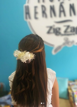 Galería de imágenes