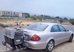 Galería de imágenes