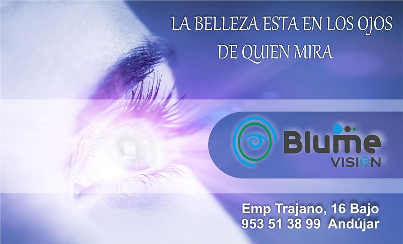 &Oacute;ptica BlumeVisi&oacute;n 8
