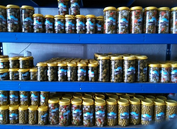 Galería de imágenes