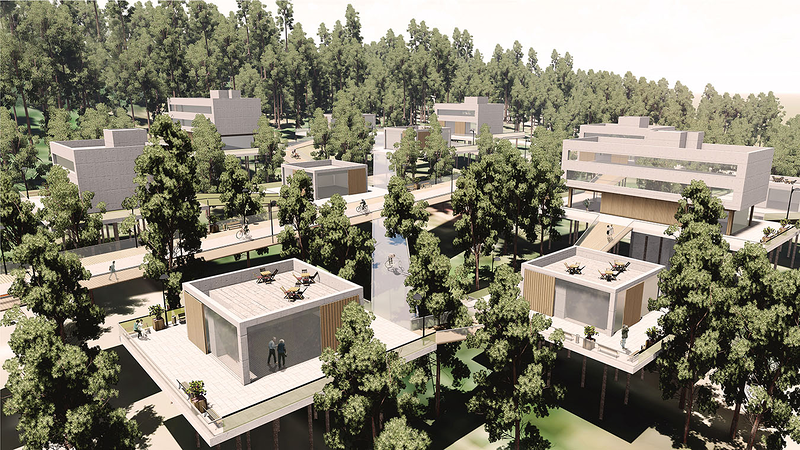 Herna Proyectos 6