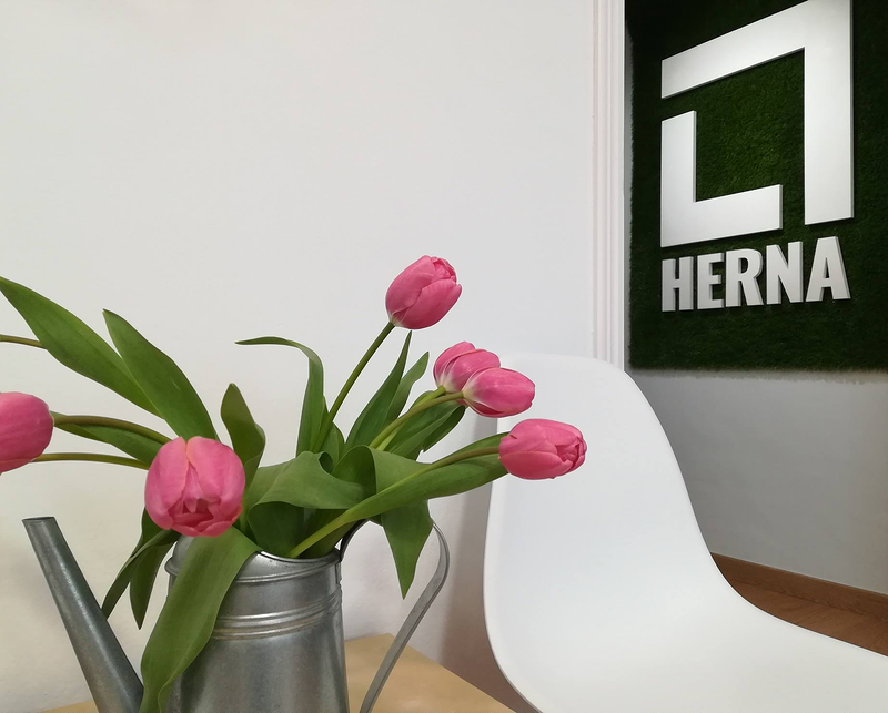 Herna Proyectos 3