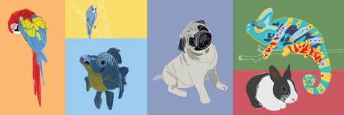 Galería de imágenes