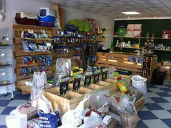 Galería de imágenes