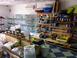 Galería de imágenes