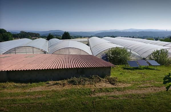 Viveros Marcos Antonio VIVEROS PARA JARDINERIA