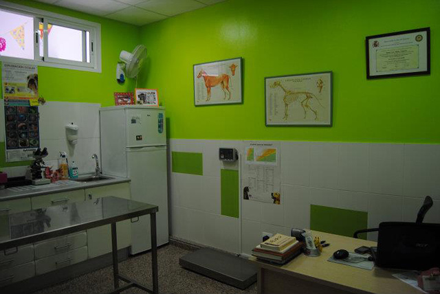Centro Veterinario Zona Animal Santa Lucía de Tirajana