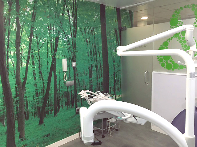 Dra. Romero Piulestan 3