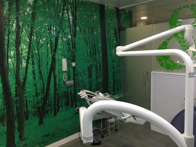 Dra. Romero Piulestan 6