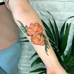 Galería de imágenes