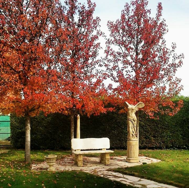 Jardinería el Campillo 3