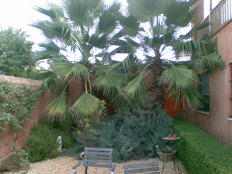 Jardiner&iacute;a Alfi 3