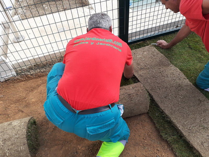 Jardiner&iacute;a Alfi 7