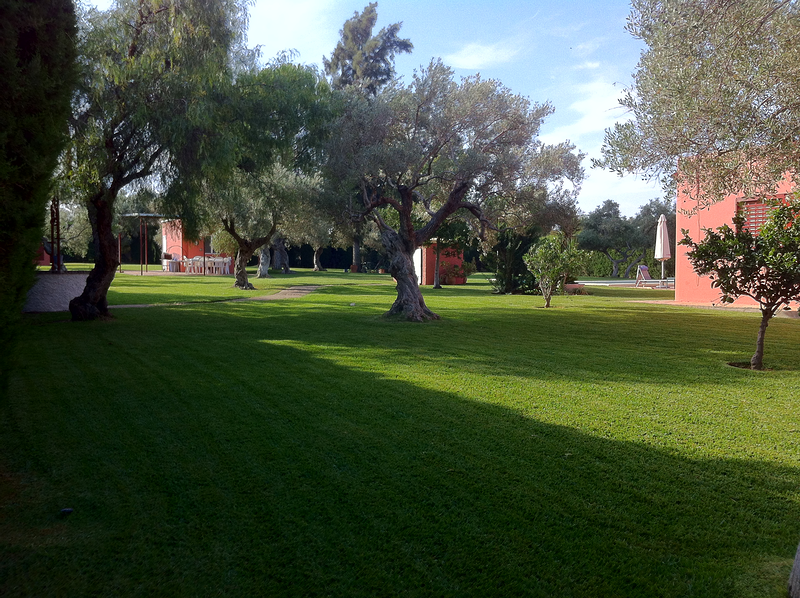 Jardiner&iacute;a Alfi 6