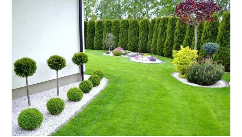 Jardiner&iacute;a Alfi 12