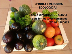 Galería de imágenes