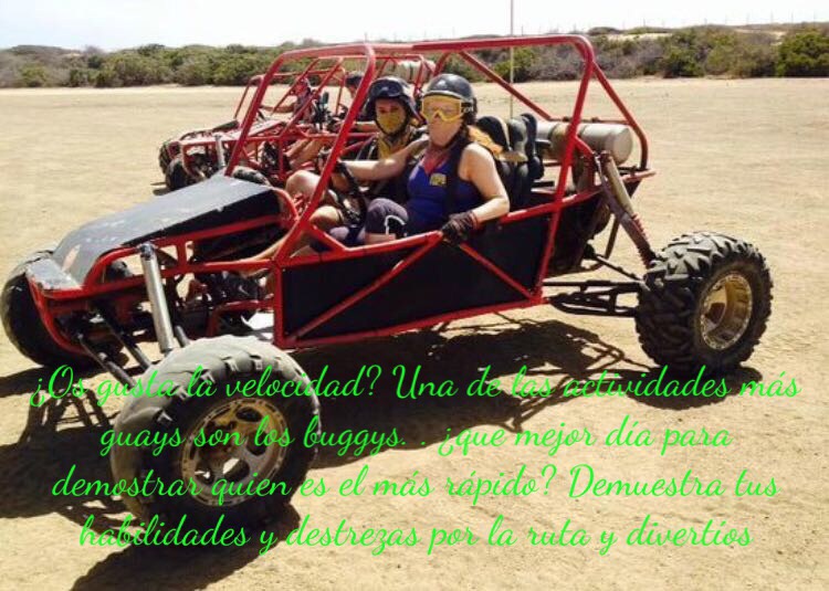 Tu Despedida Granada DESPEDIDAS DE SOLTERO: ORGANIZACION