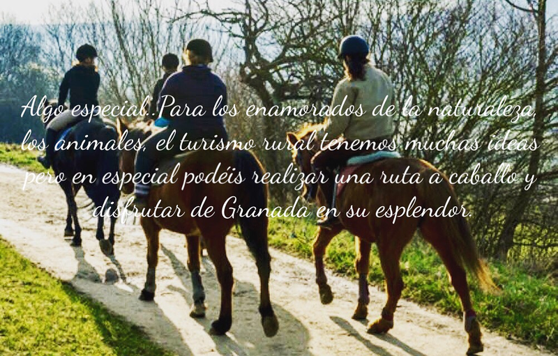 Tu Despedida Granada Monachil