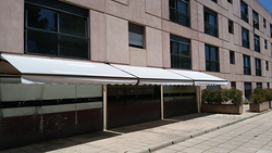 Galería de imágenes