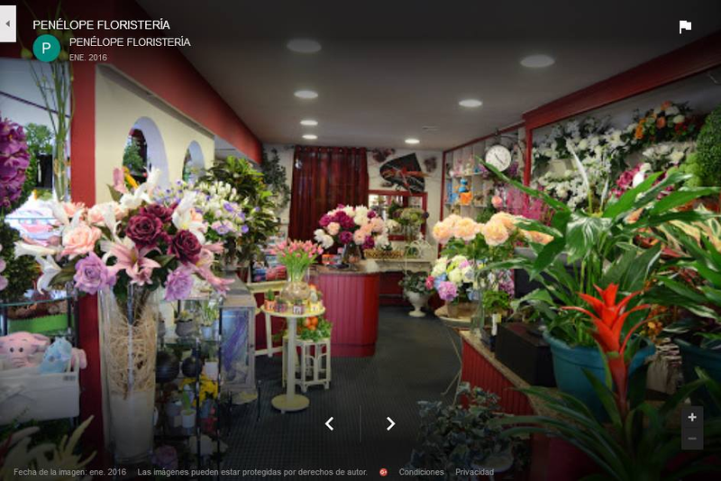 Florister&iacute;a Pen&eacute;lope Lugo