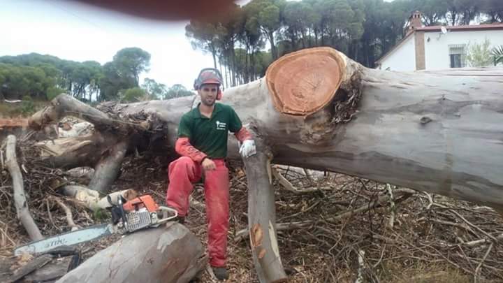 Podas Laura JARDINERIA: EMPRESAS DE SERVICIOS