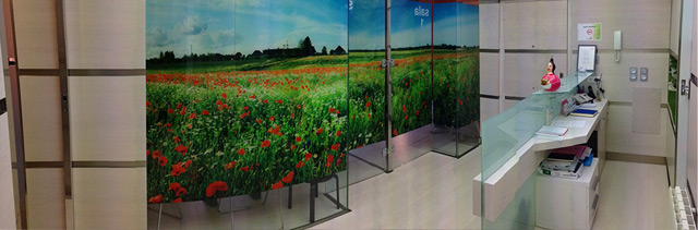 Galería de imágenes